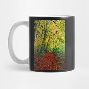 Autumnal Westridge Woods, Cotswolds Mug